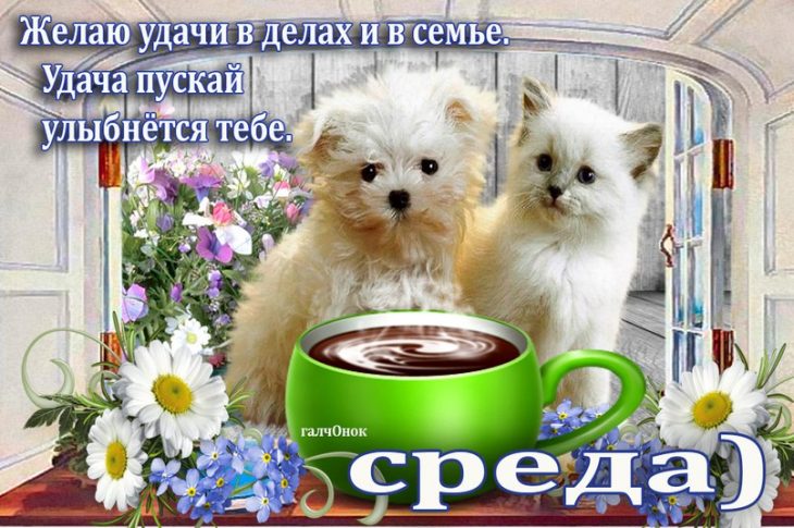 Открытки
